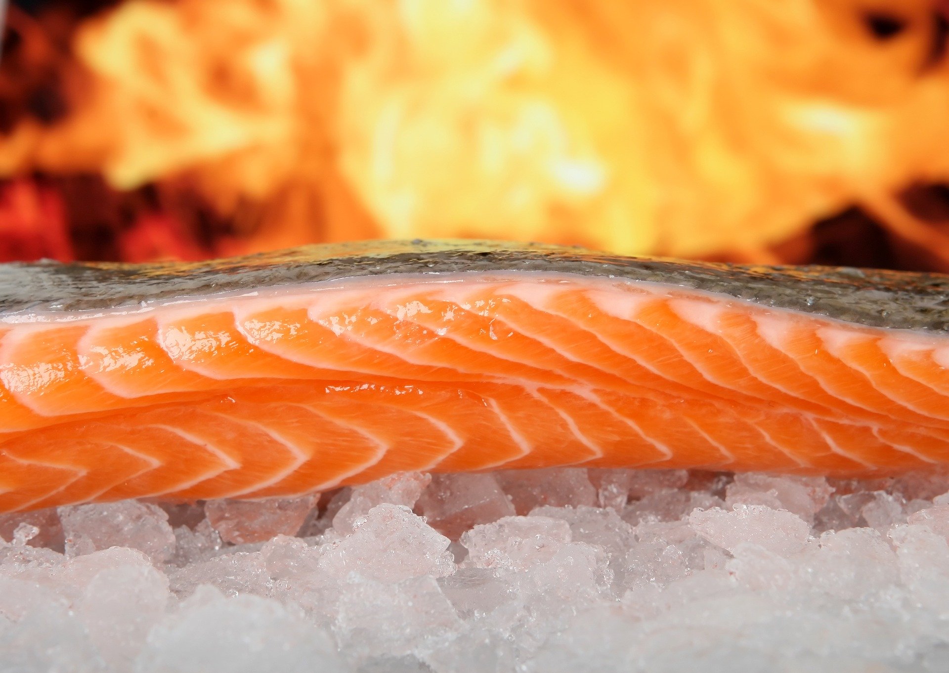 Omega 3 kiseline